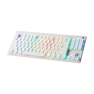 앱코 K641 TKL SLIM PLUS RGB 게이밍 텐키리스 기계식 키보드